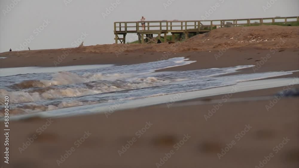The incoming tide approaches at dusk on the Bouctouche Beach. A seagull searches for food as the waves rush in. The incoming tide approaches at dusk on the Bouctouche Beach. A seagull searches for food as the waves rush in.
