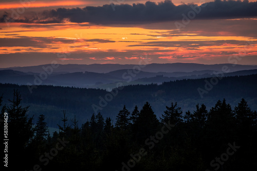 Fototapeta Naklejka Na Ścianę i Meble -  Sonnenuntergang / Wald / Sonnenaufgang / Sonne / Natur / Dämmerung / untergehende Sonne / aufgehende Sonne / Sauerland / Winterberg / Bäume