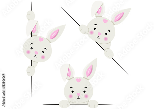 Adorable  bunny peeking out from behind in various positions