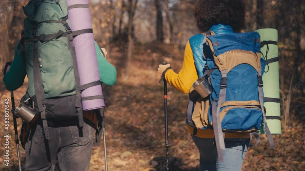 Back view of young backpackers in forest, outdoor activities, fall foliage Back view of young backpackers in forest, outdoor activities, fall foliage