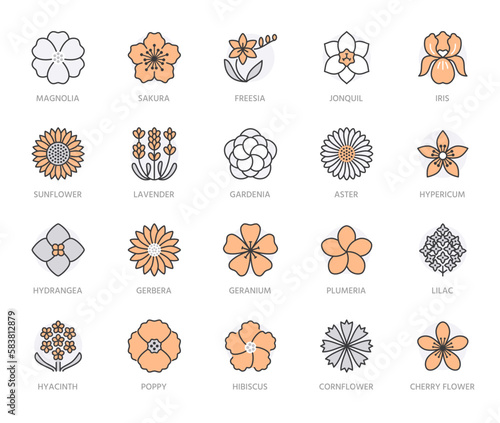 Flowers flat line icons. Garden plants - sunflower, poppy, cherry, gardenia, lavender, gerbera, plumeria, hydrangea, freesia blossom. Thin sign for floral store. Orange color. Editable Stroke