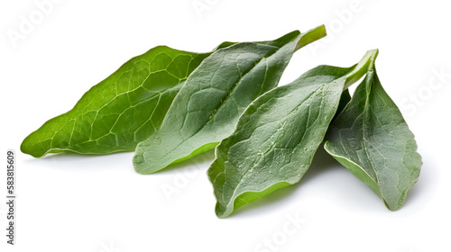 spinachs. Fresh vegetables isolated on white background. Healthy food concept. Generative AI photo
