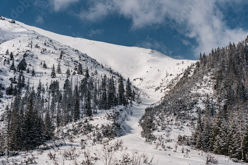 Fototapeta Naklejka Na Ścianę i Meble -  Góry zimą, Tatry Wysokie w Polsce, żleb w rejonie Świstówki miejsce gzie często schodzą lawiny