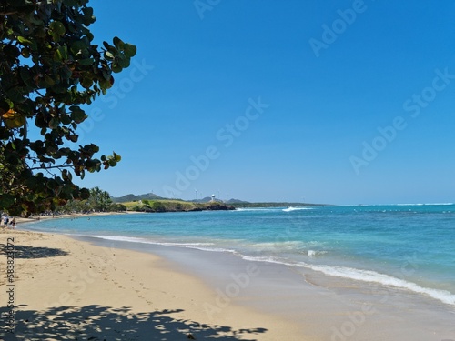 Fototapeta Naklejka Na Ścianę i Meble -  Palms and beach in Dominican Republic