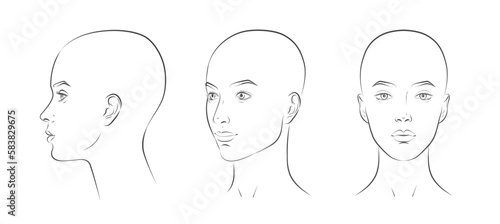 Bald hairless head. Head guidelines for barbershop, haircut salon. Male head in different angles. Woman face front, profile, three-quarter view. Vector realistic line sketch illustration