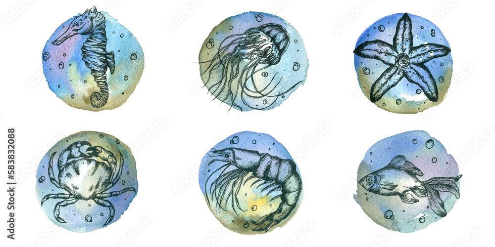 A set of sea inhabitants - seahorse, starfish, fish, shrimp, crab, jellyfish on a watercolor background.