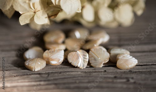 Fényképezés Natural shells are an excellent material for carving
