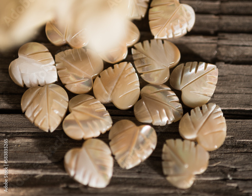 Natural shells are an excellent material for carving. From time immemorial, people have learned to carve various ornaments from this material.