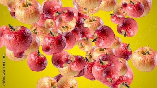Abstract explosion with ugly Apples flying in different directions on a yellow background. Creative colorful food animation concept with fruits (ID: 583844811)
