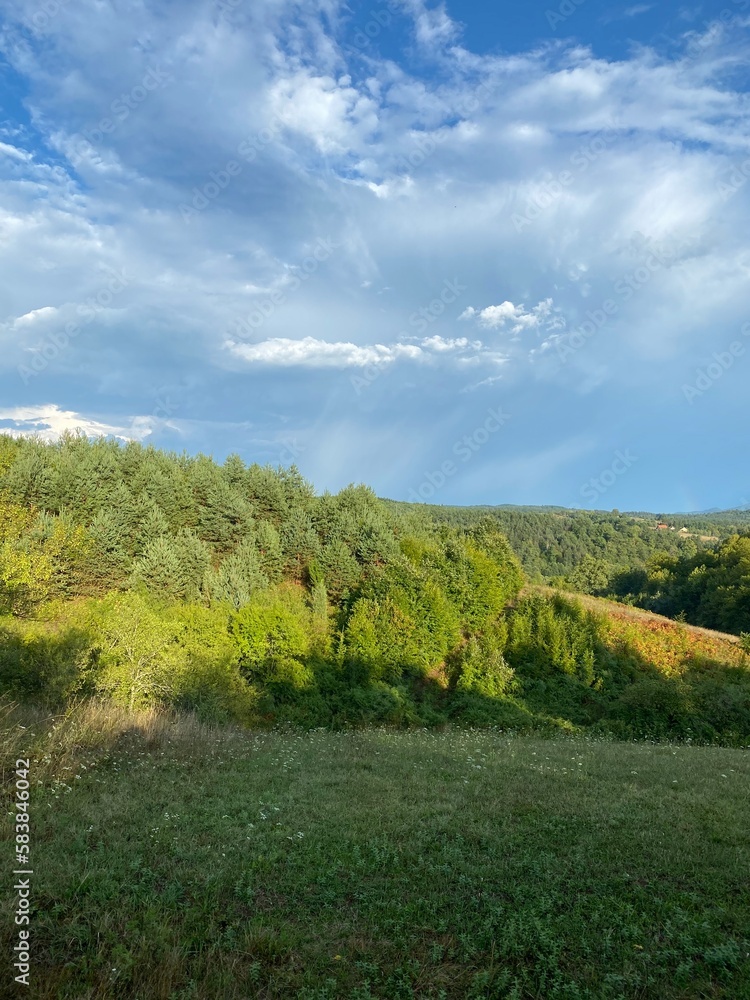 Obraz premium landscape with trees