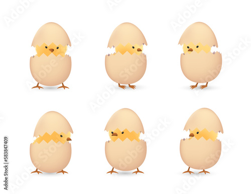 Chicks in brown cracked eggs set