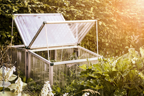 Mini Greenhouse in Garden for Grow Seedlings. Grow your own Garden at Home. Growing Vegetables, Herbs, Flowers Seedling Outside. photo