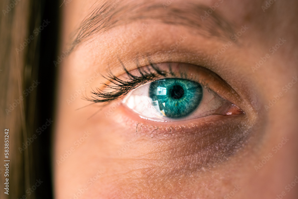 Obraz premium Macro close up of blue woman's eye