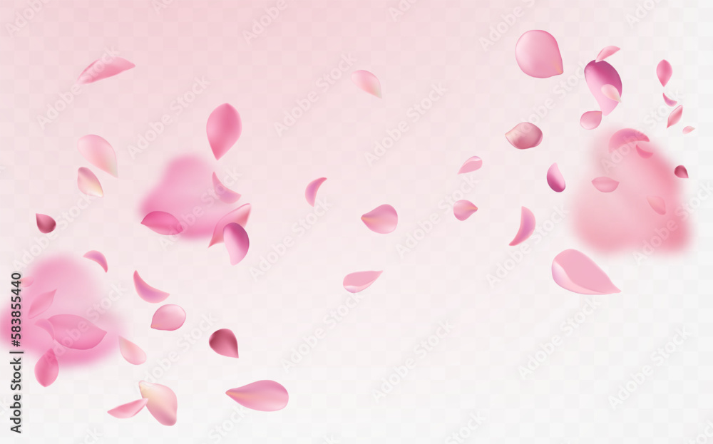 Flying fragile pink and white sakura petals. Symbol of Japanese culture ...