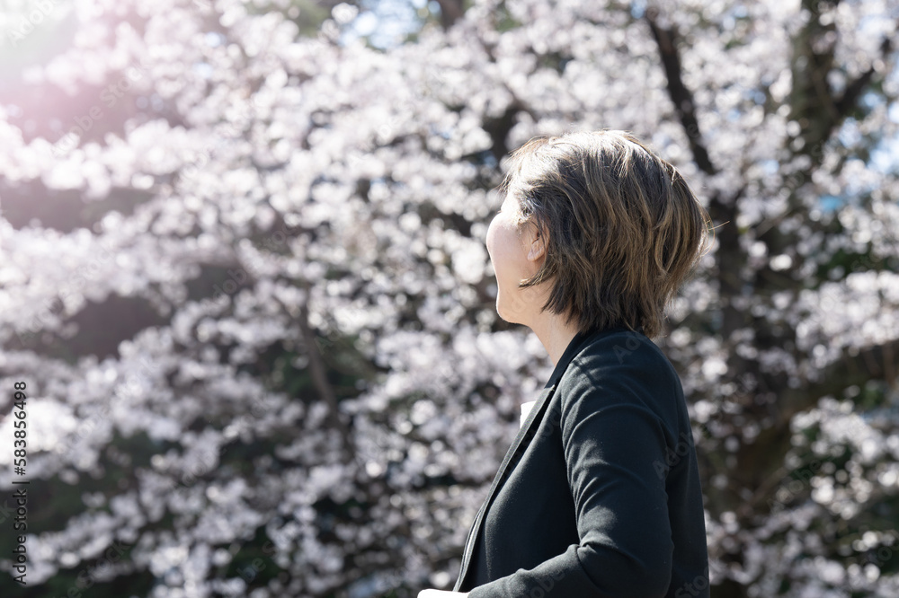 桜を見上げる女性　再就職　再雇用