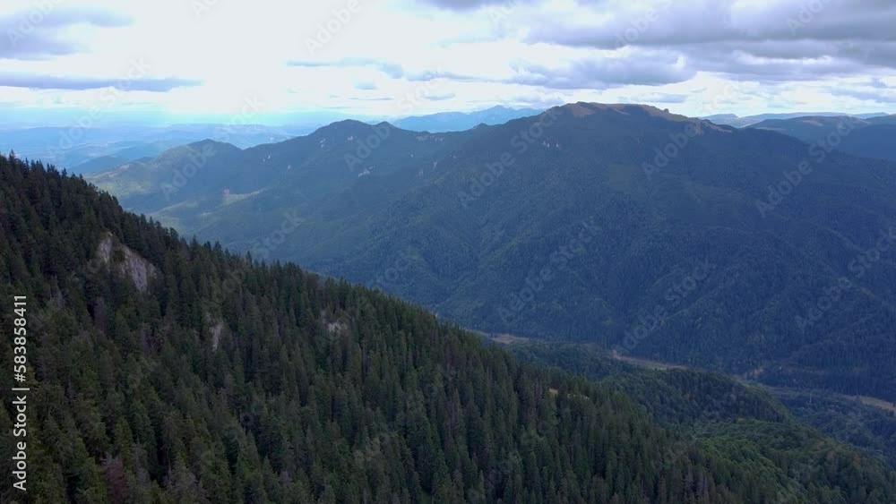 A breathtaking aerial view of a lush green mountain forest with high peaks in the background, surrounded by fluffy white clouds, located in the beautiful Poiana Brasov, Romania