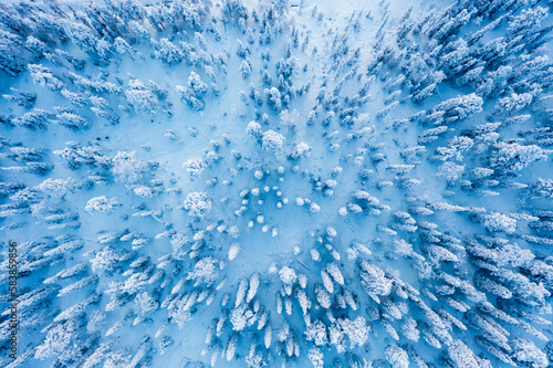 Frozen snowy forest after a winter blizzard at dusk, overhead view, Lapland photo