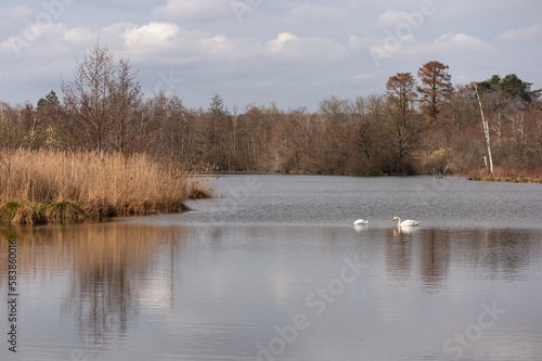 Marais de Misery