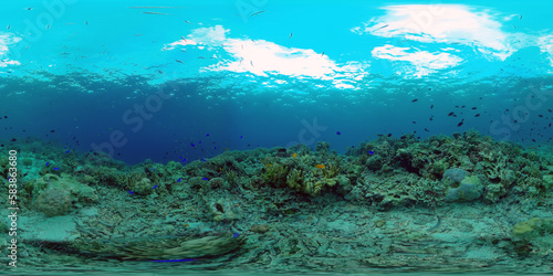 Underwater tropical colourful soft-hard corals seascape. Underwater fish reef marine. Philippines. 360 panorama VR