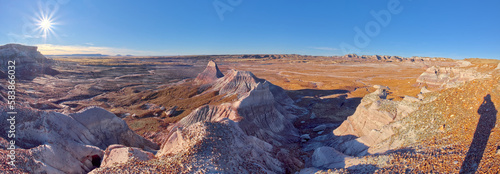 View of the Blue Forest plains from the lower part of Blue Mesa in Petrified Forest National Park, Arizona