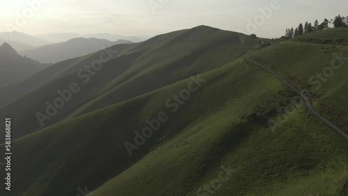 Green mountains of Iraty illuminated by sunlight, France. Aerial forward photo