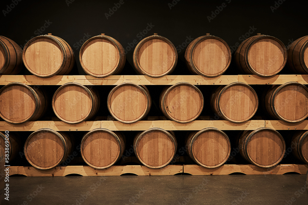 barricas, bodega, depósito, almacén, subsuelo, vinos, roble, madera, tinto, blanco, alcohol, varietal, varietales, rose, rosado, cabernet, malbec, vasija, bouquet, afrutado, crianza, tanino, franco barricas, bodega, depósito, almacén, subsuelo, vinos, roble, madera, tinto, blanco, alcohol, varietal, varietales, rose, rosado, cabernet, malbec, vasija, bouquet, afrutado, crianza, tanino, franco