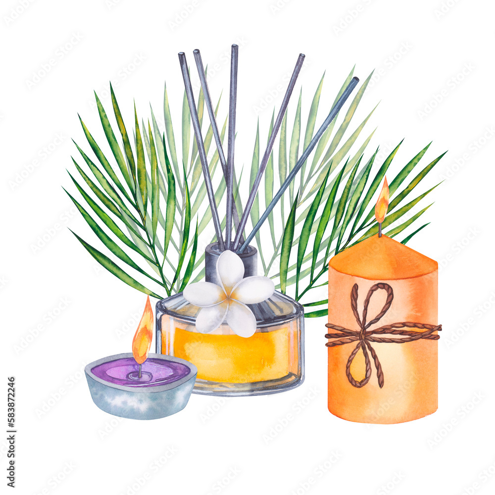 Spa concept. Bath accessories. Diffuser, candles, 
palm branches and a plumeria flowers. Hand drawn watercolor illustration isolated on white background.