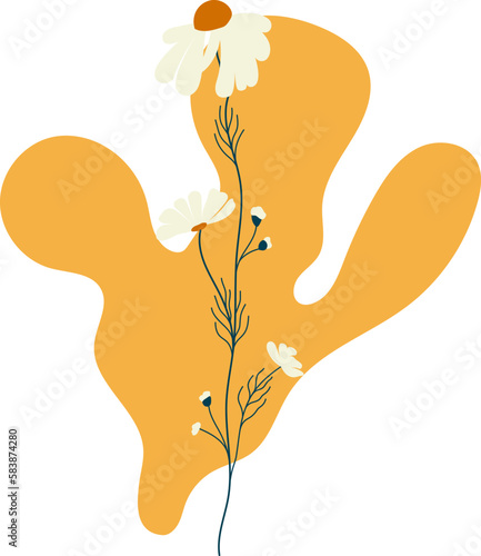 Abstract floral composition with daisies. Perfect for social media highlights.