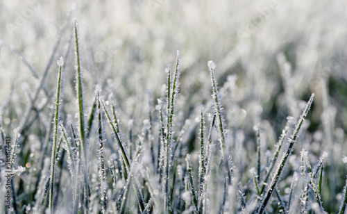 Close up frozen ice on grass
