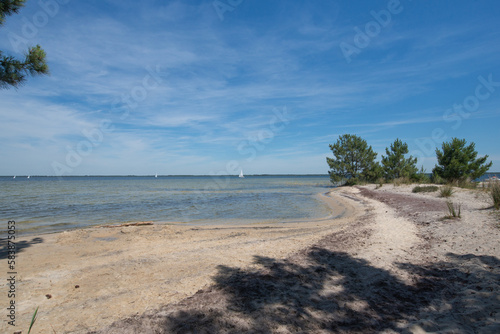 Fototapeta Naklejka Na Ścianę i Meble -  une petite plage sur les rives du lac d'Hourtin