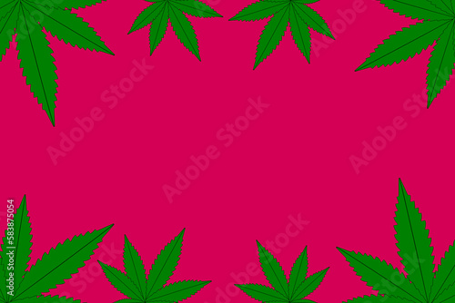 Vector illustration of marijuana leaf  cannabis plant used for medicinal purposes 