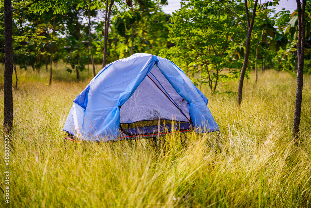 Blue tent in the middle of the yellow field in the forest with green trees, selective focus, soft focus. Blue tent in the middle of the yellow field in the forest with green trees, selective focus, soft focus.