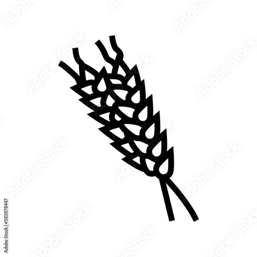 spikelets ripe wheat line icon vector illustration