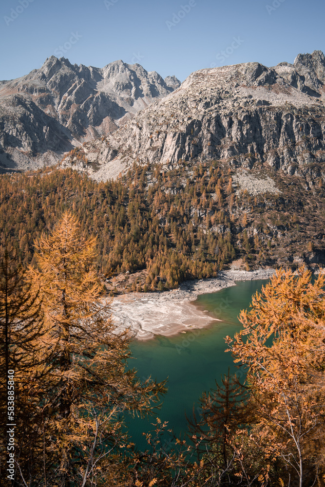 Aerial view of the shore of Devero Lake, in the Northern Italy, during autumn