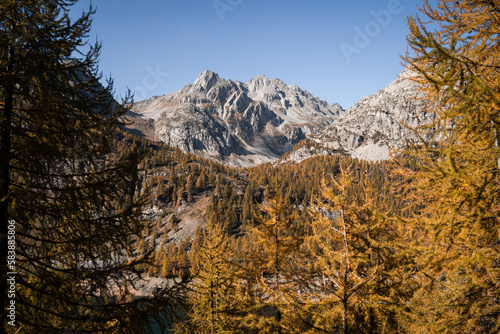 The forest and mountain peaks in the Alpe Devero, Northern Italy, during autumn