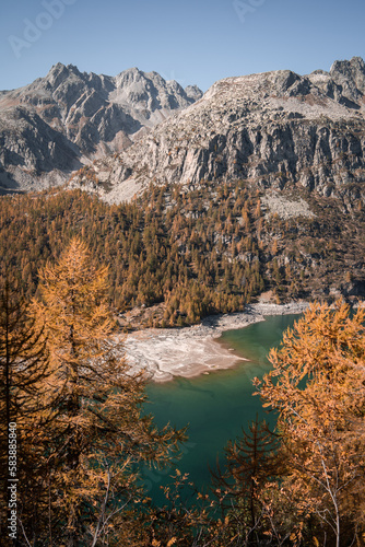 Aerial view of the shore of Devero Lake, in the Northern Italy, during autumn