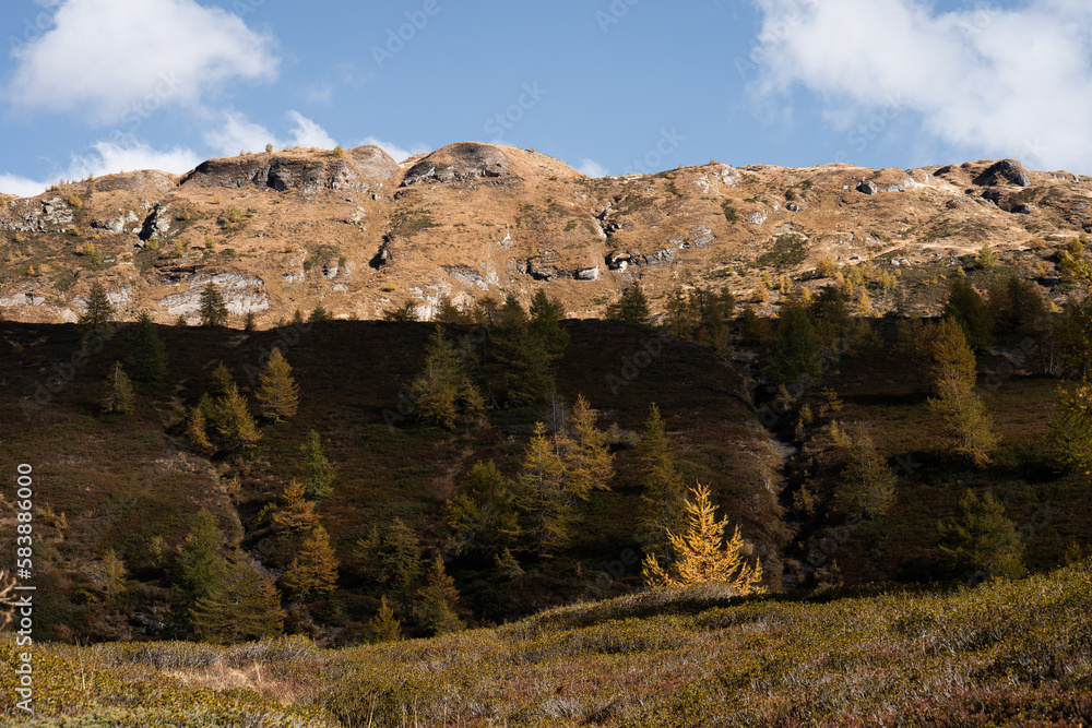 Orange autumn tones in the hills and highlands of the Alpe Devero, Northern Italy