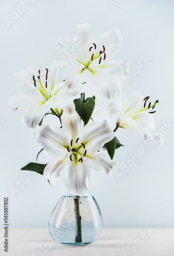 Branch of beautiful white lilies in a vase on a blue background