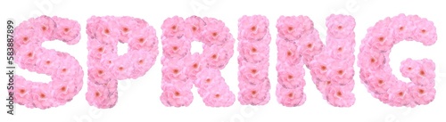 word spring with roses flowers