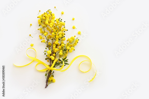 Top view image of spring yellow mimosa flowers composition over white isolated background photo