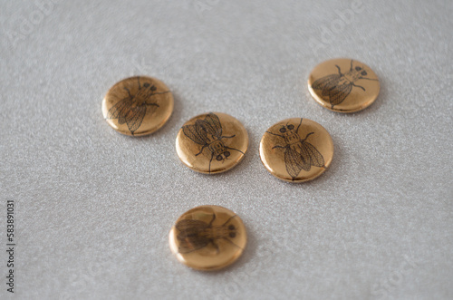 gold magnets with image of fly