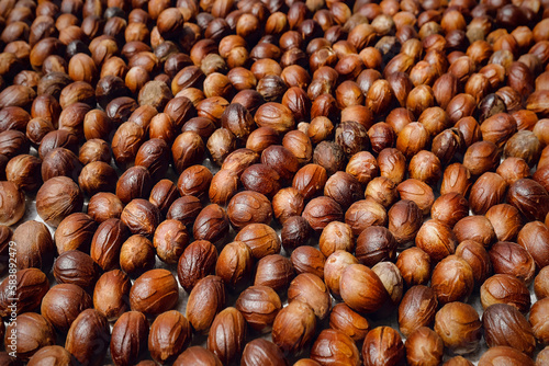 Nutmeg seeds laid out to dry, an aromatic spice and major crop, Ulu, Siau Island, Sangihe Archipelago, North Sulawesi, Indonesia photo