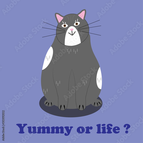 Gray Cat