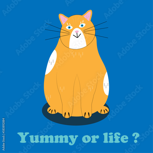 Red Cat