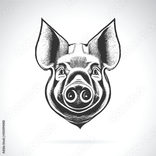 Vector of pig head design on white background. Easy editable layered vector illustration. Farm Animals.