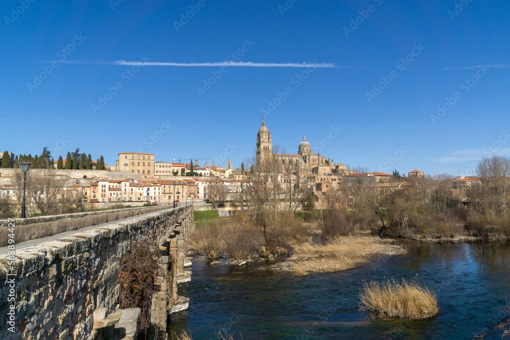 Vista panorámica de la ciudad de Salamanca. Castilla y León, España.
