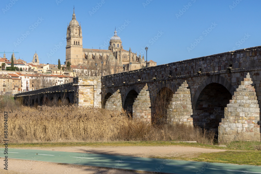 Vista de la ciudad de Salamanca desde el puente romano. Castilla y León, España.