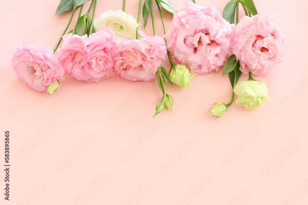 Top view image of delicate flower over pastel background Top view image of delicate flower over pastel background