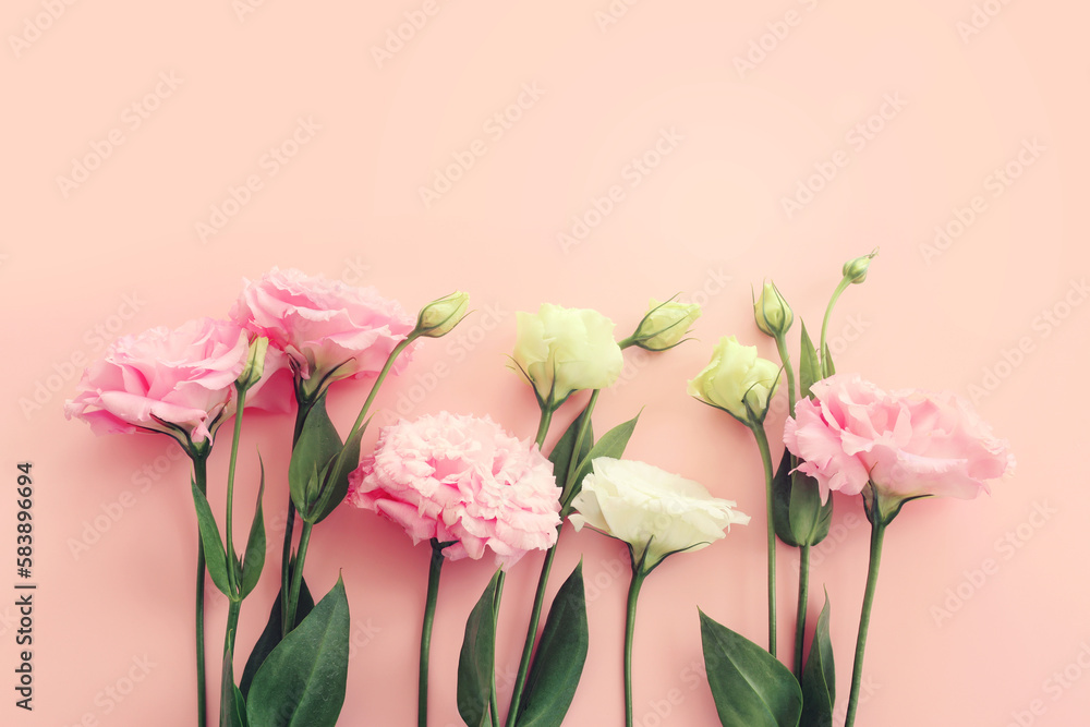 Top view image of delicate pink flowers over pastel background Top view image of delicate pink flowers over pastel background