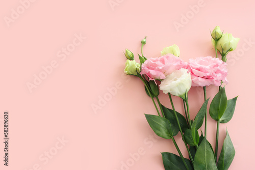 Top view image of delicate pink flowers over pastel background